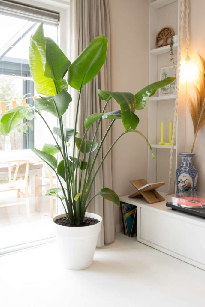 HomeInspo